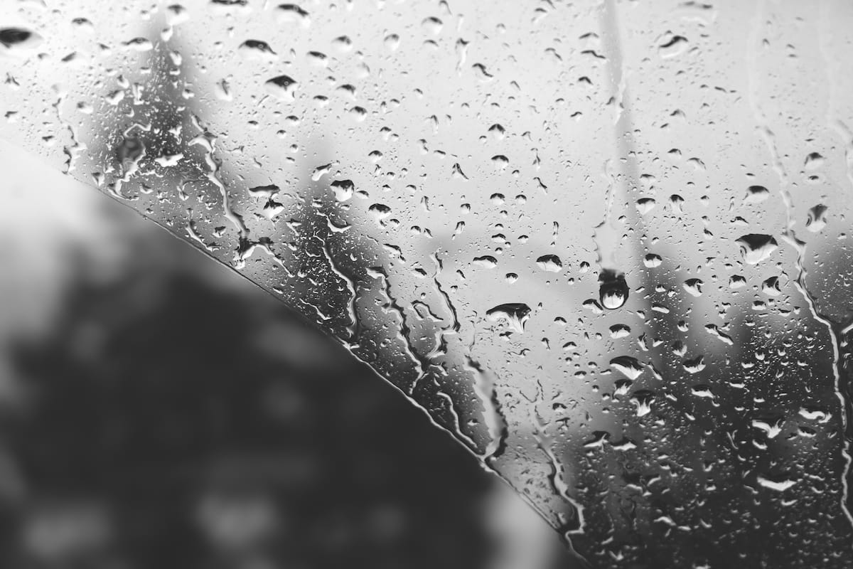 Flexible Drive Windscreen Wiper System